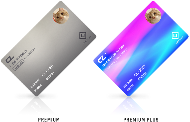 03_img_silver_2x.png